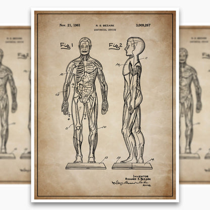 Anatomical Body Patent Poster