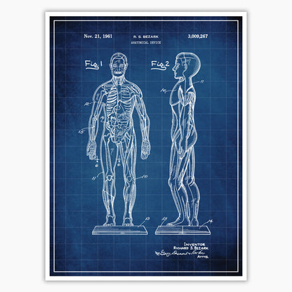 Anatomical Body Patent Poster