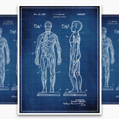 Anatomical Body Patent Poster