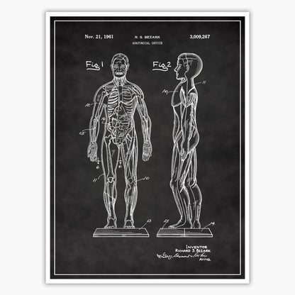 Anatomical Body Patent Poster