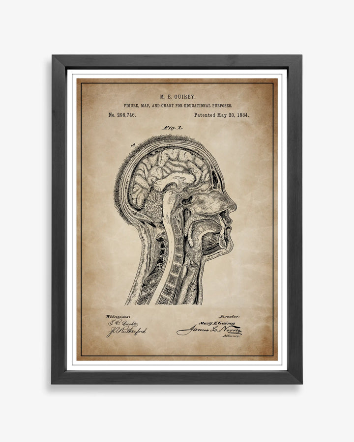 Anatomical Head design patent poster presented in antique parchment style, unframed and ready for display.