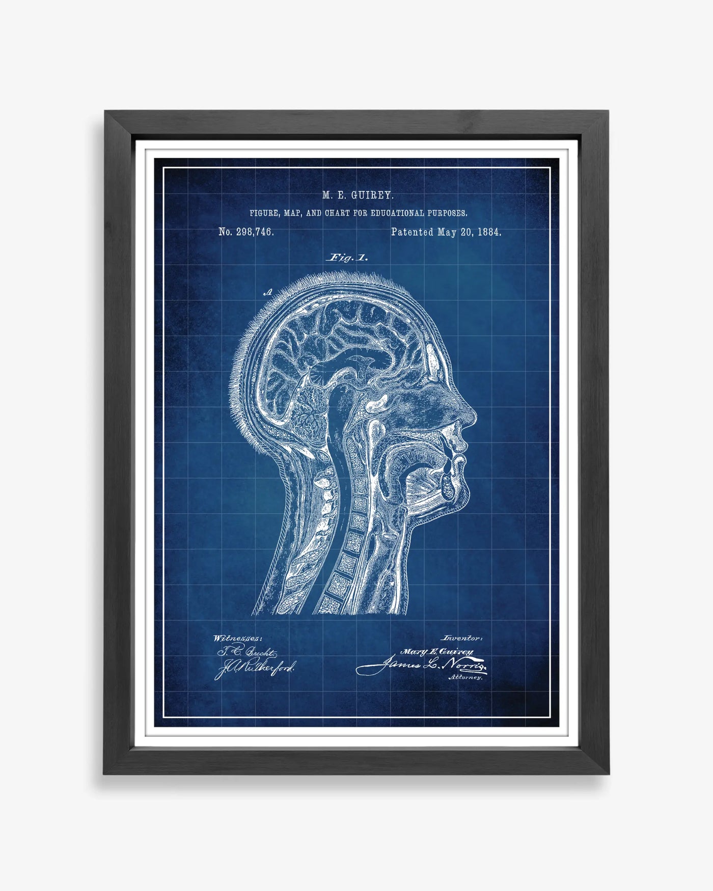 Unframed blueprint style patent poster illustrating the Anatomical Head design.