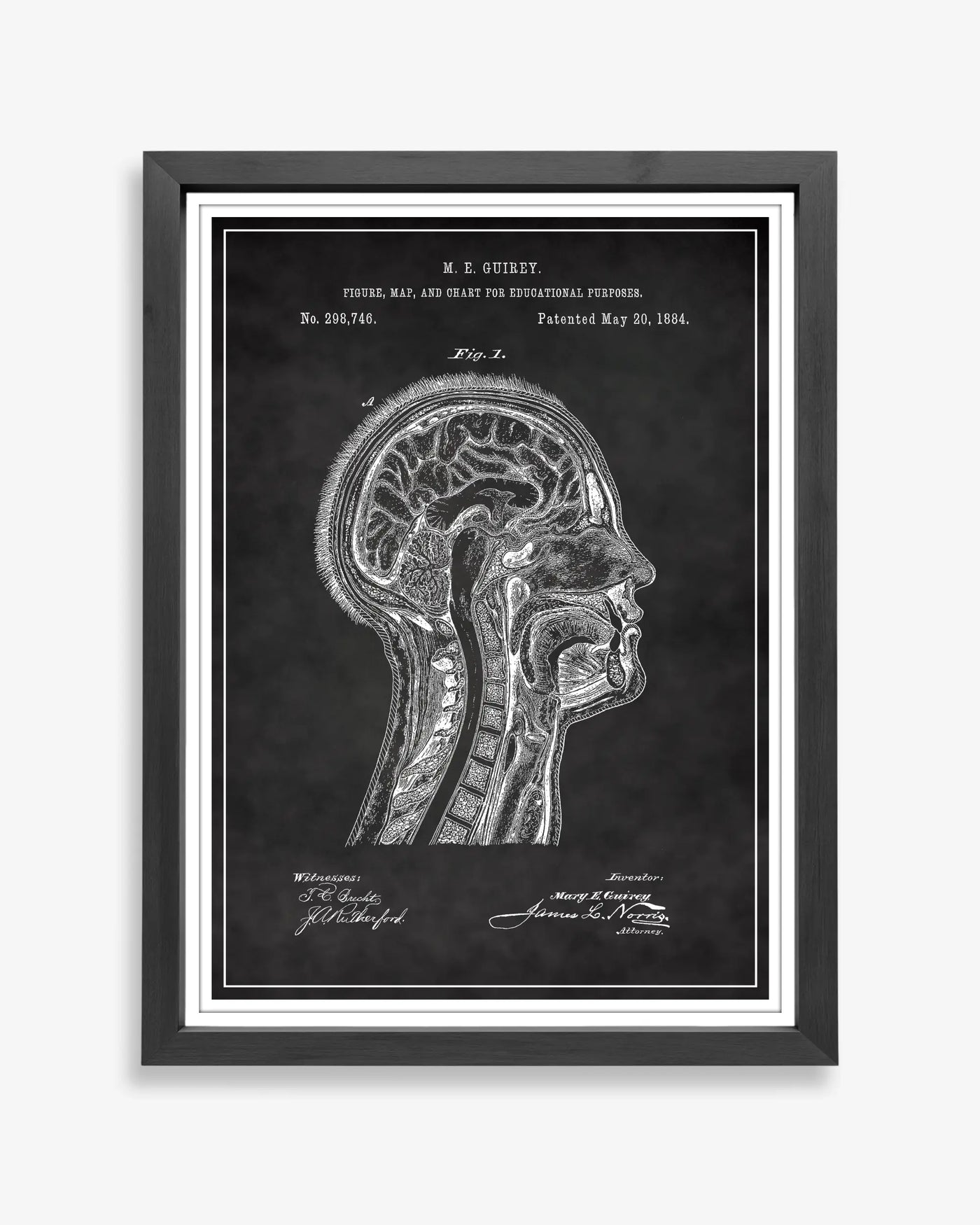 Unframed blueprint style patent poster illustrating the Anatomical Head design.