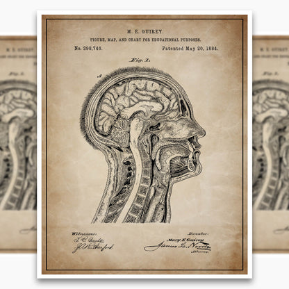 Anatomical Head Patent Poster