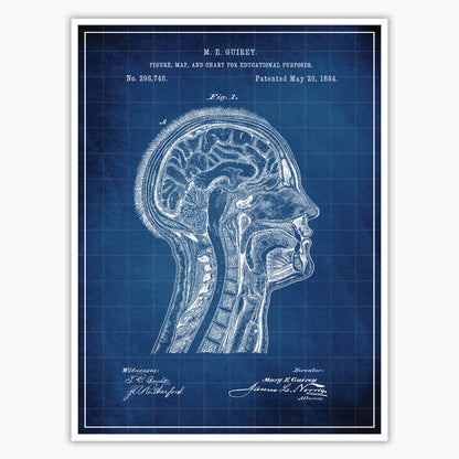 Anatomical Head Patent Poster