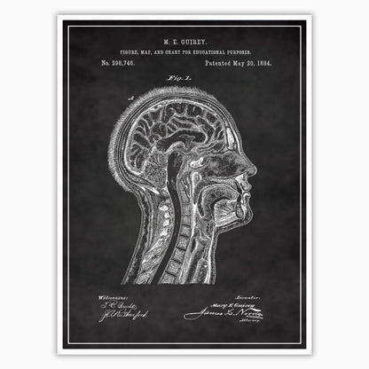 Anatomical Head Patent Poster