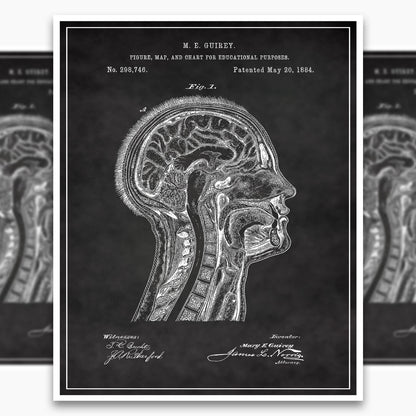 Anatomical Head Patent Poster