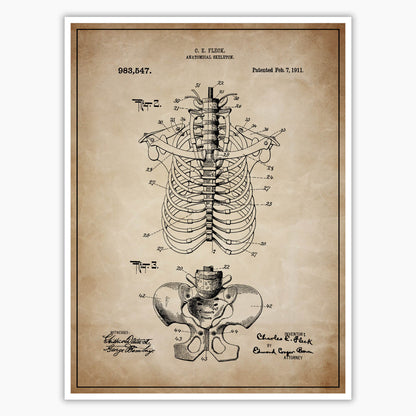 Anatomical Rib Cage Patent Poster