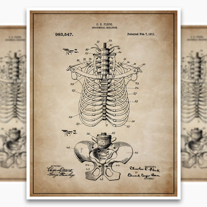 Anatomical Rib Cage Patent Poster