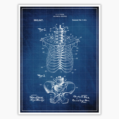 Anatomical Rib Cage Patent Poster