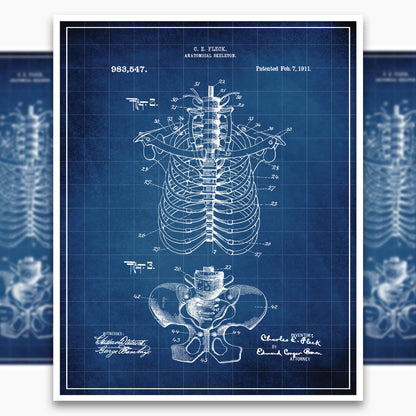 Anatomical Rib Cage Patent Poster