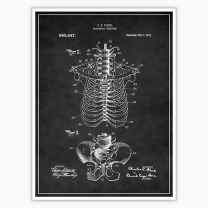 Anatomical Rib Cage Patent Poster