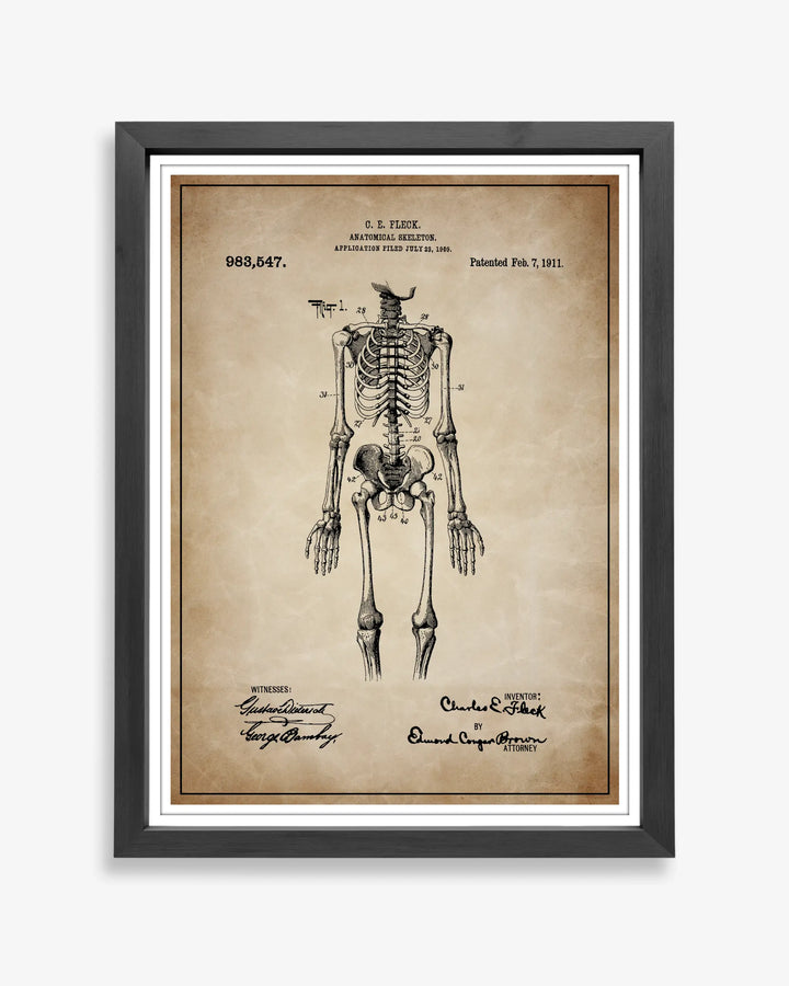 Unframed wall art featuring the Anatomical Skeleton patent poster in a antique parchment finish.