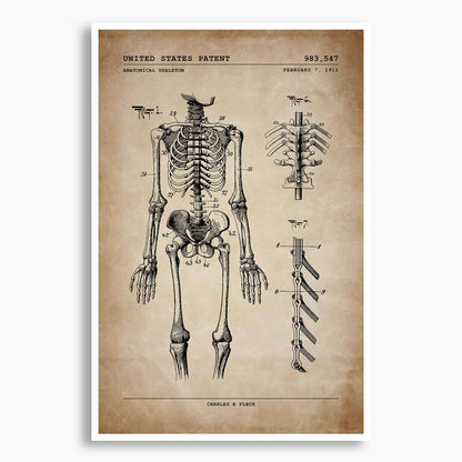 Anatomical Skeleton Patent Poster; Patent Artwork