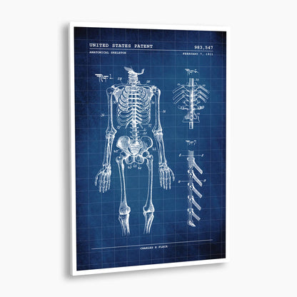 Anatomical Skeleton Patent Poster; Patent Artwork