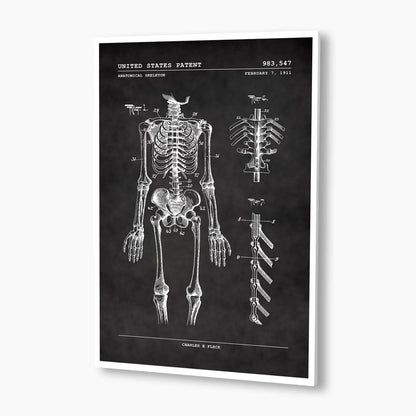 Anatomical Skeleton Patent Poster; Patent Artwork